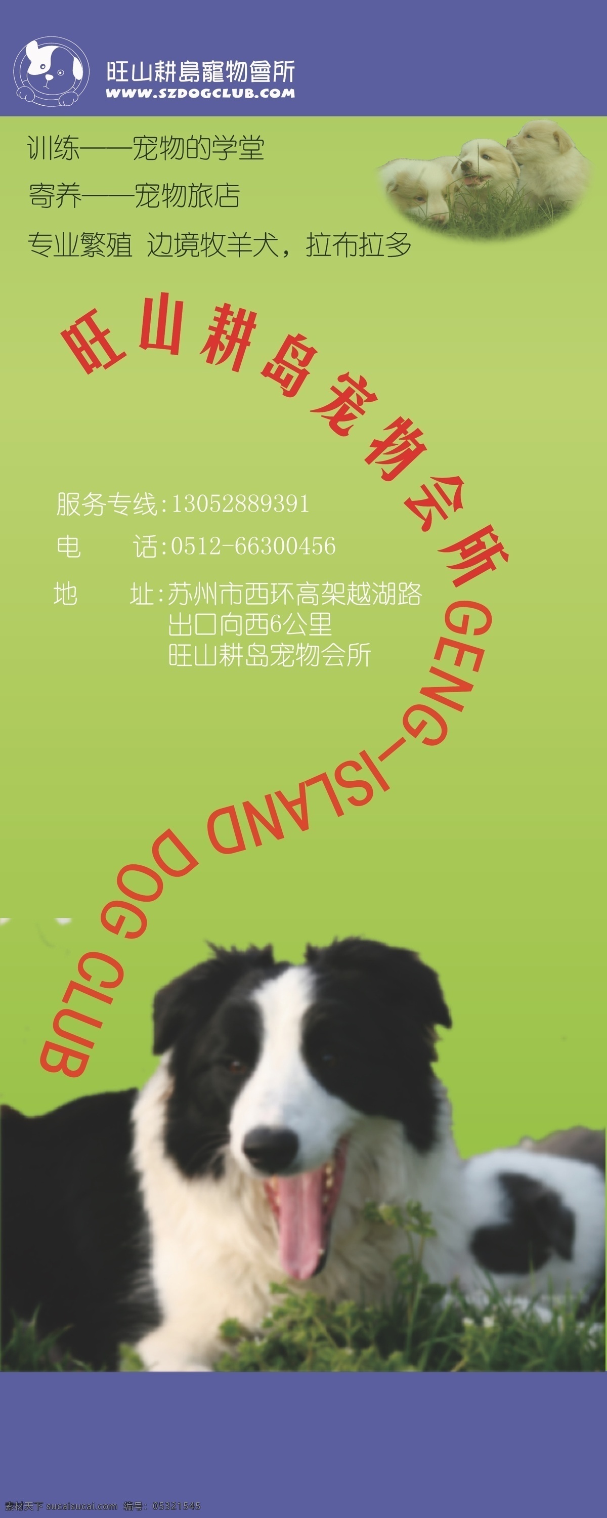 宠物 会所 易拉宝 其他设计 矢量 模板下载 展板 易拉宝设计