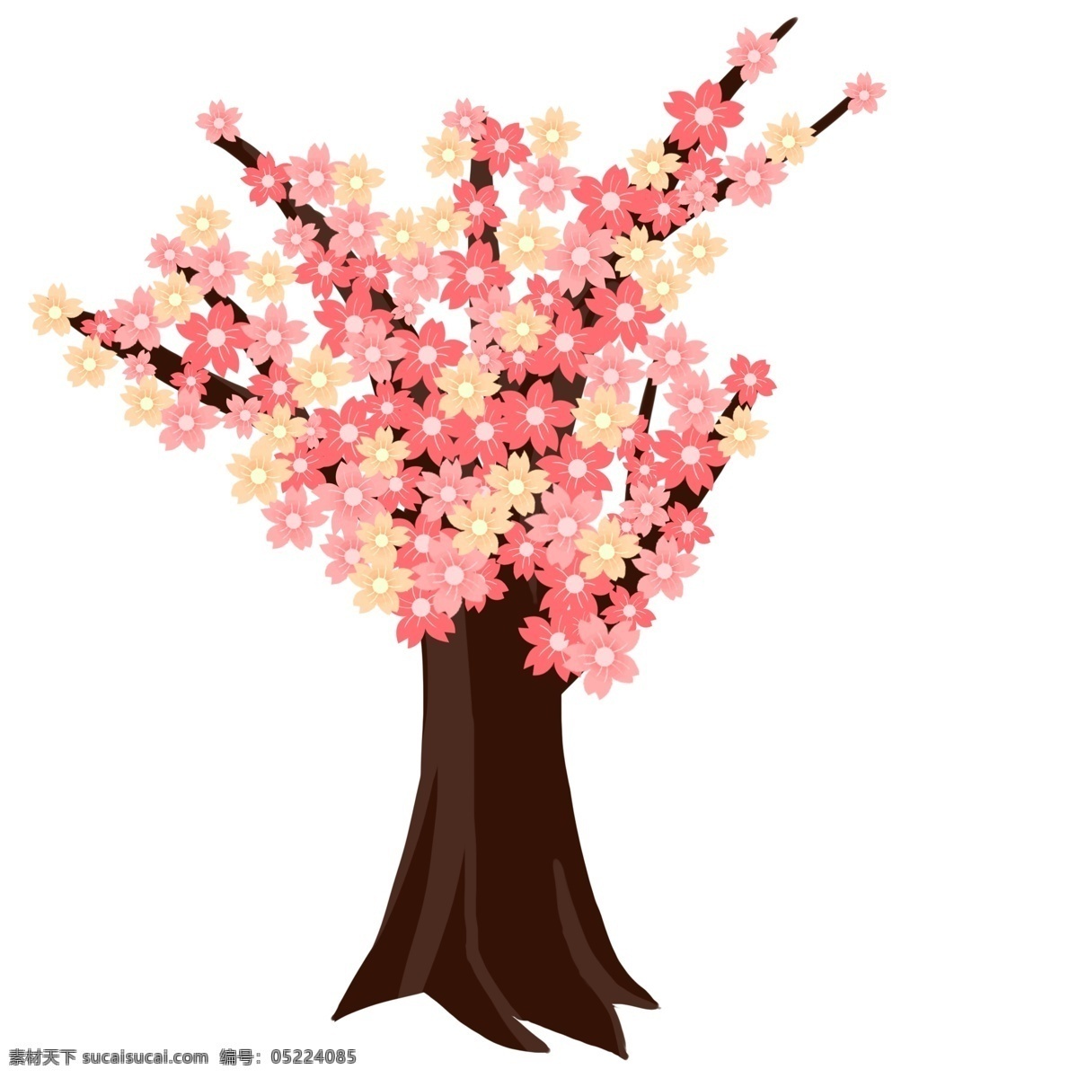 樱花 花朵 卡通 插画 卡通插画 樱花插画 花朵插画 鲜花 花束 植物樱花 粉色的樱花 日本的樱花