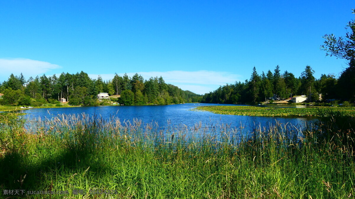 海岛 上 淡水湖 旅游 国外 加拿大 温哥华 自然景观 自然风景