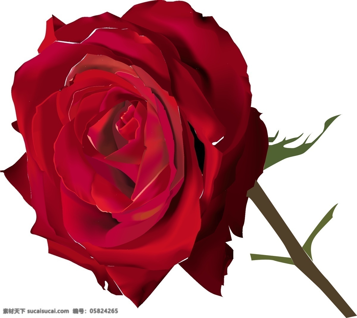 绘制 逼真 花朵 矢量 矢量花朵 花卉 植物 红玫瑰 康乃馨 淡粉色玫瑰花 矢量素材 其他矢量 cdr素材 矢量图库