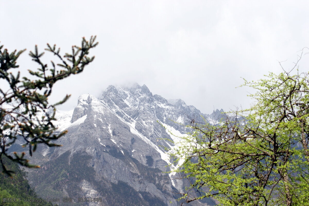 雪山 之春 背景 明信片 风景 生活 旅游餐饮