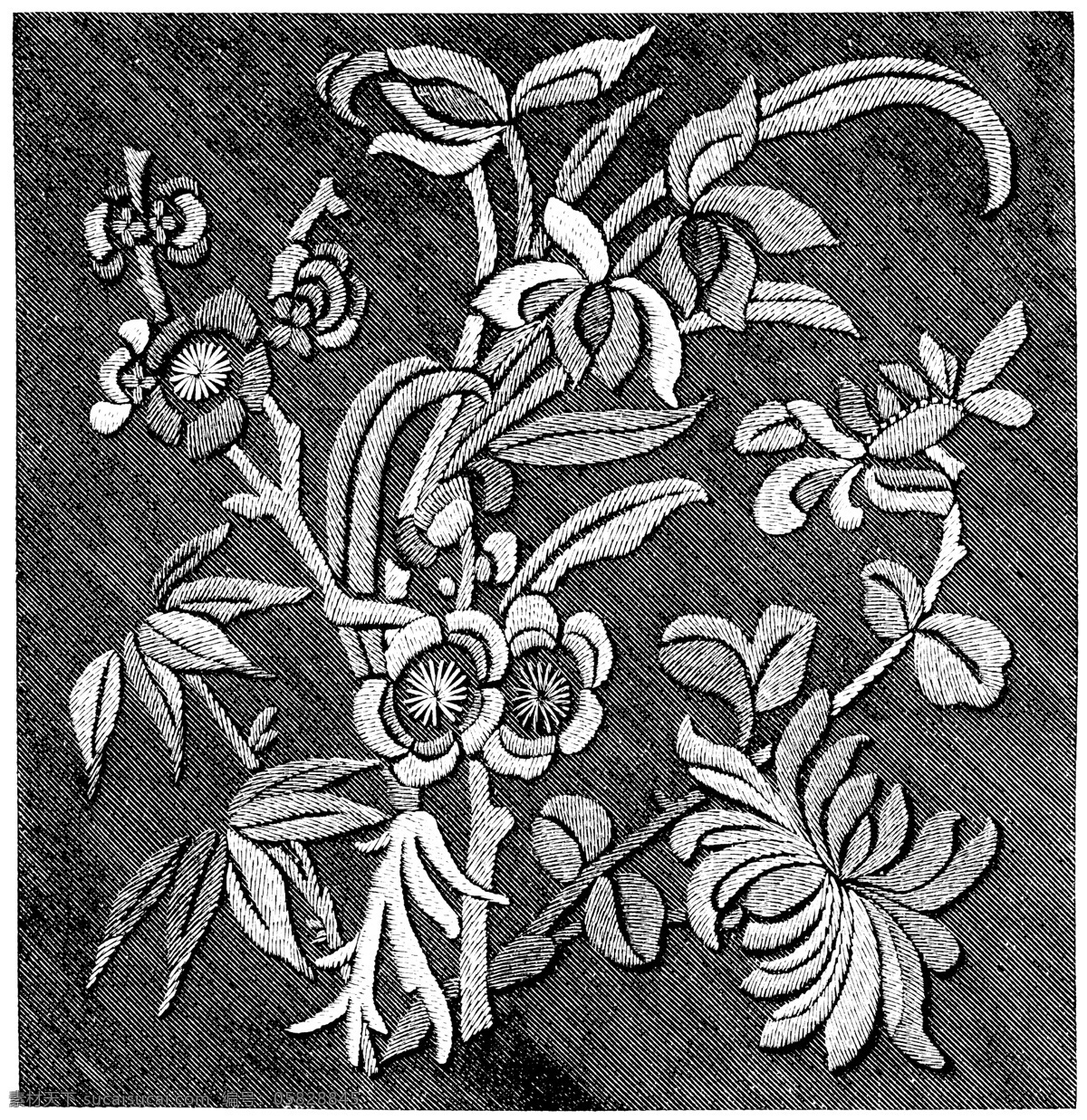 黑白 花边 植物 纹样 线条 花卉 服装边饰 刺绣 传统文化 文化艺术