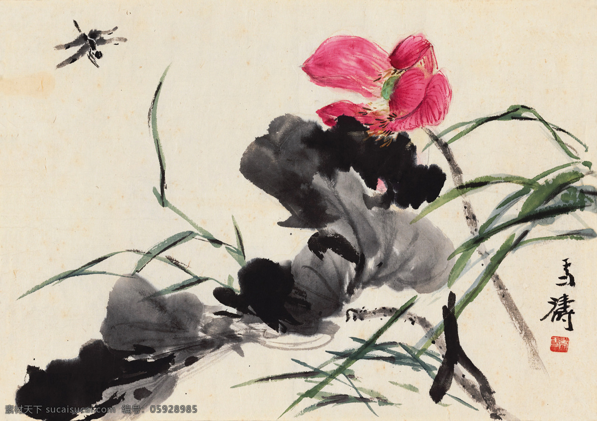 红荷蜻蜓 国画 王雪涛 红荷 蜻蜓 荷花 花卉 绘画书法 文化艺术