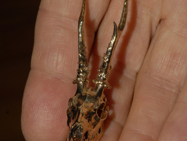 狍 茸 奖杯 安装 动物 骨架 鹿茸 3d打印模型 艺术时尚模型 ct扫描 狩猎 头骨