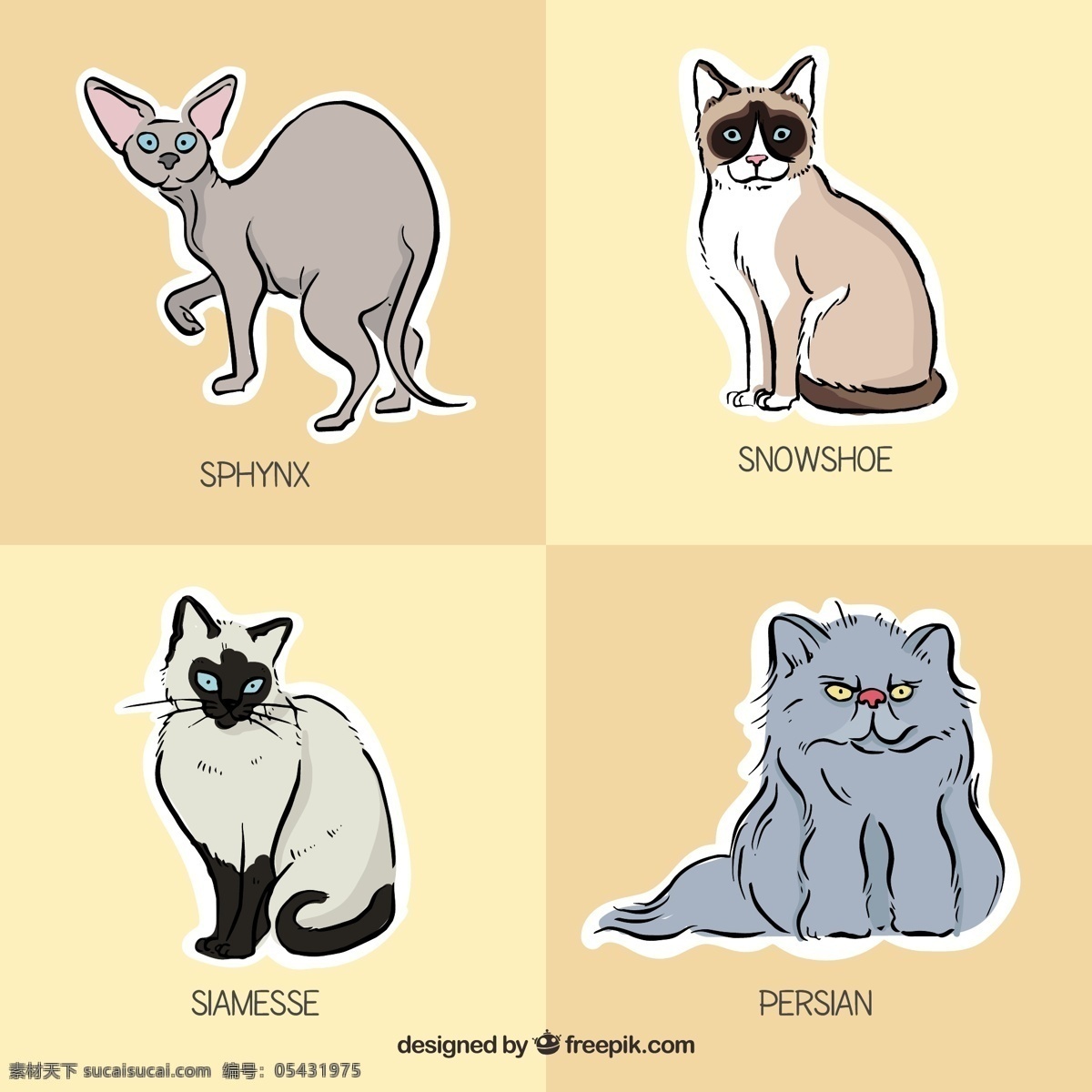 手绘 catr 品种 包 房子 一方面 自然 猫 动物 动物标签 pet 绘画 贴纸 宠物包 绘制草图 野生 野生动物 粗略 波斯 白色