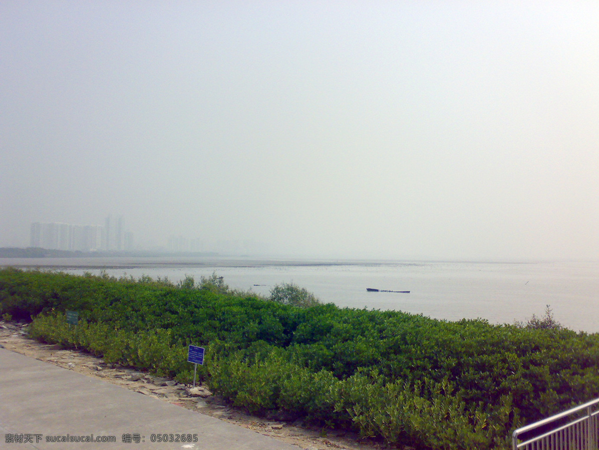 深圳 红树林 高楼 共享 海边 海水 绿草 摄影图片 天空 远景 深圳红树林 远处的高楼