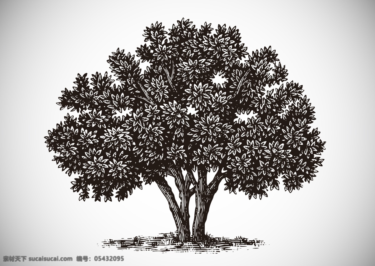 树 黑白画 矢量 植物 树木 大树 松树 黑白植物 插画 背景 海报 画册 矢量植物 生物世界 树木树叶