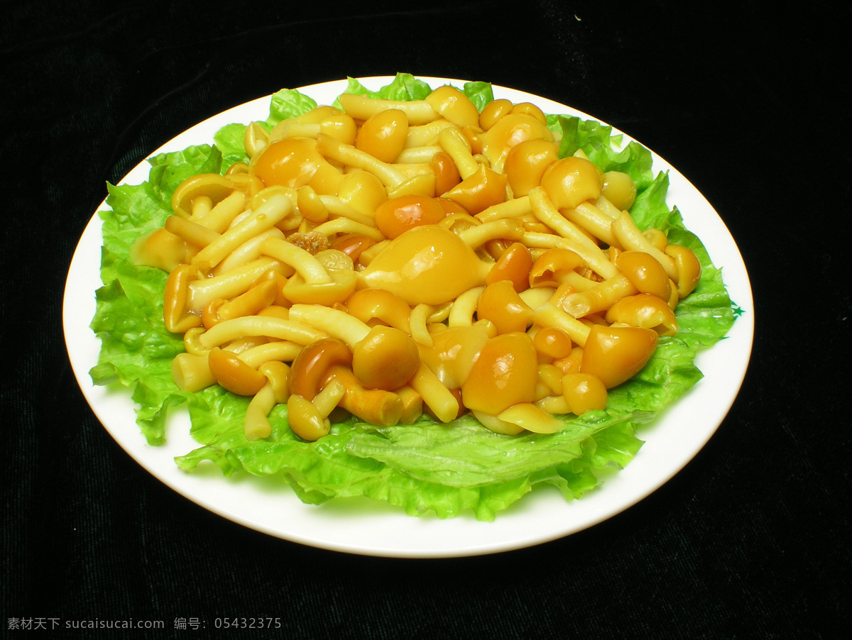 滑仔菇 菌菇 菌类 菇类 凉菜 炒菜 餐饮 餐饮美食 传统美食