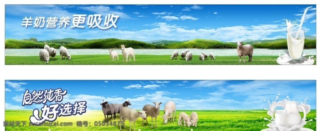 羊奶图片 羊奶灯片 羊 绿色背景 草原背景