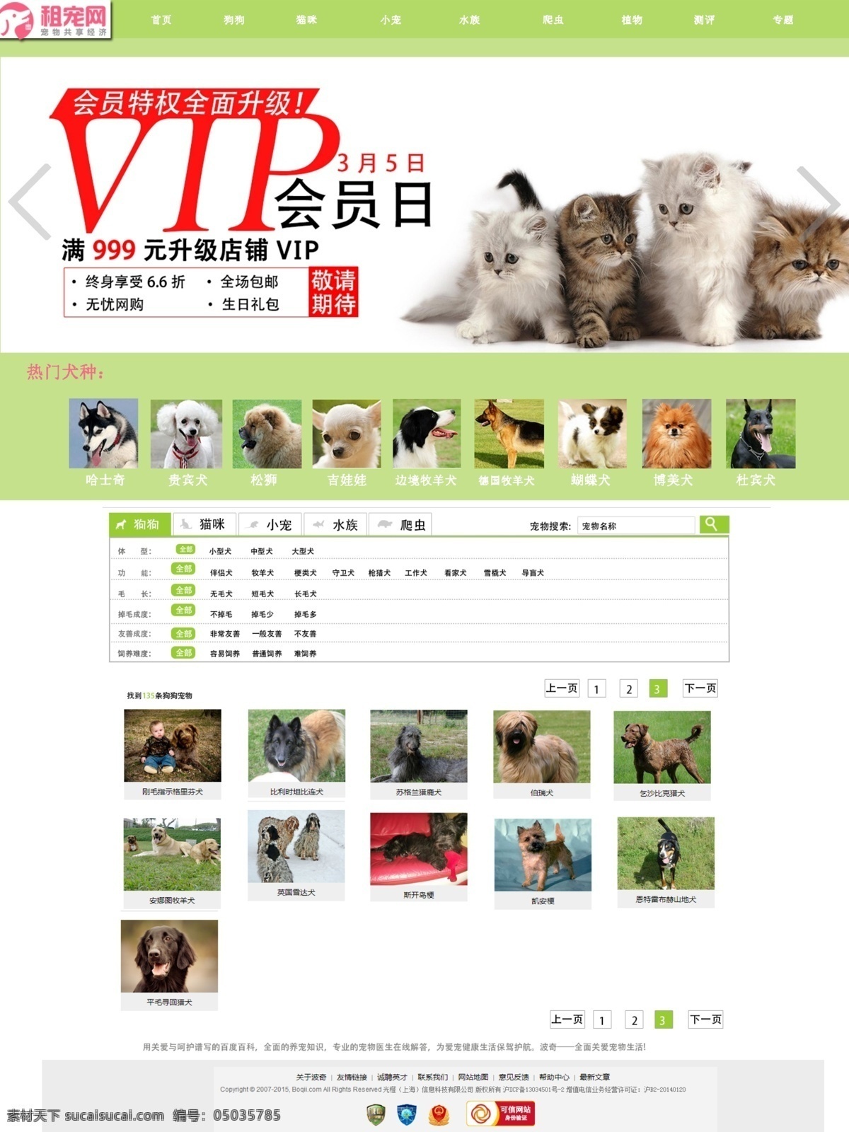 宠物 网站 网页 效果图 淡绿色背景 宠物网站 网页效果图 白色