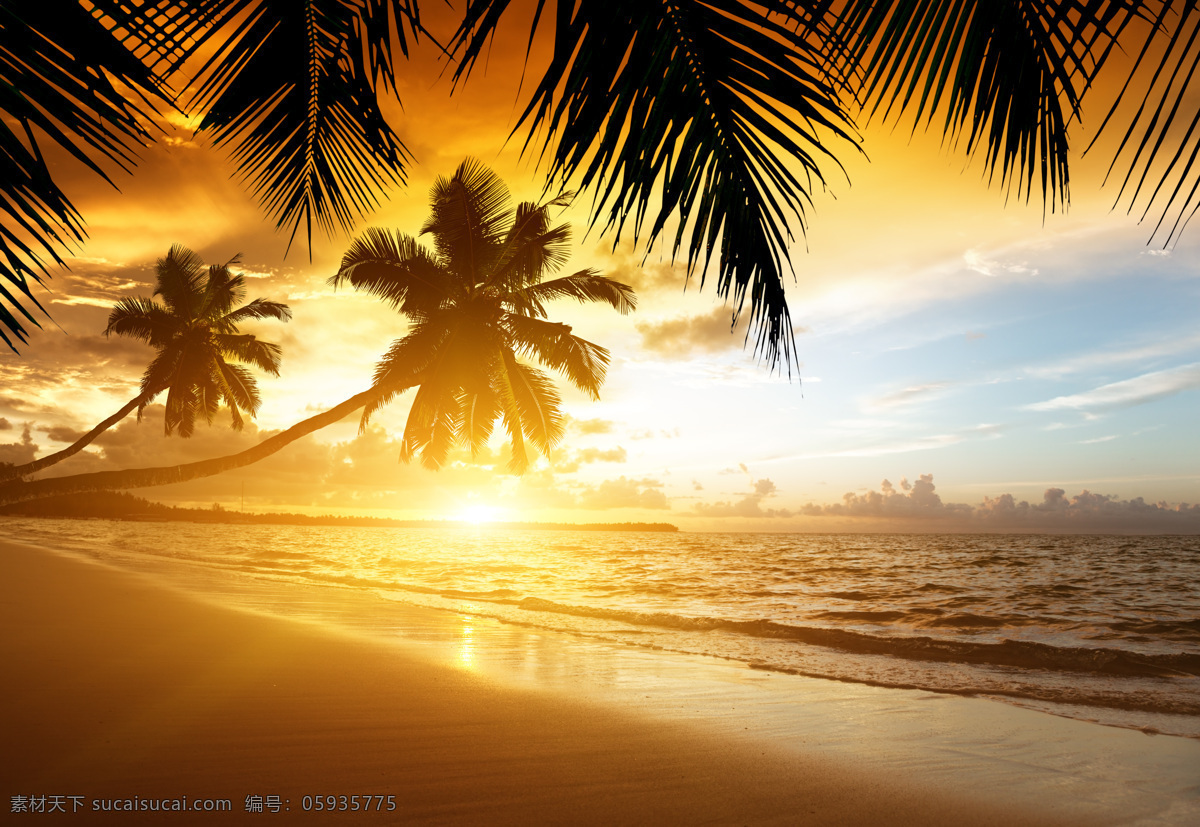 唯美 椰子树 海洋 风景 晚霞 霞光 日落 大海 海浪 沙滩 自然风光 海洋海边 大海图片 风景图片