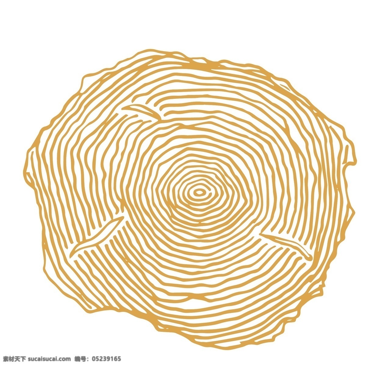 年轮 木纹 装饰 图案 树木 纹理 植物 线条 抽象 圆圈 绘画简笔