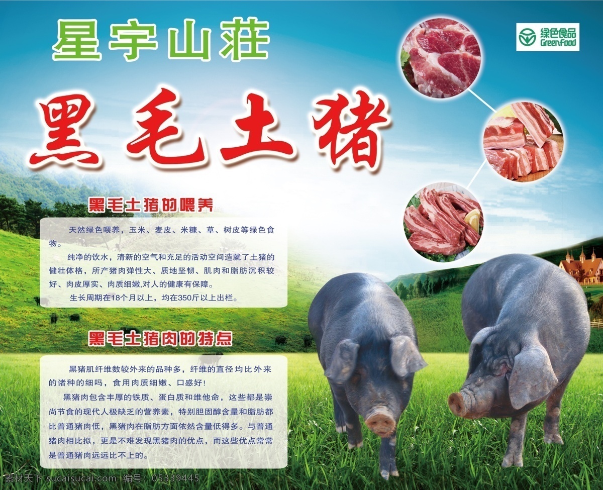 山庄土猪 山庄 土猪 猪 黑猪 蓝天白云草地 猪肉 肉 绿色食品