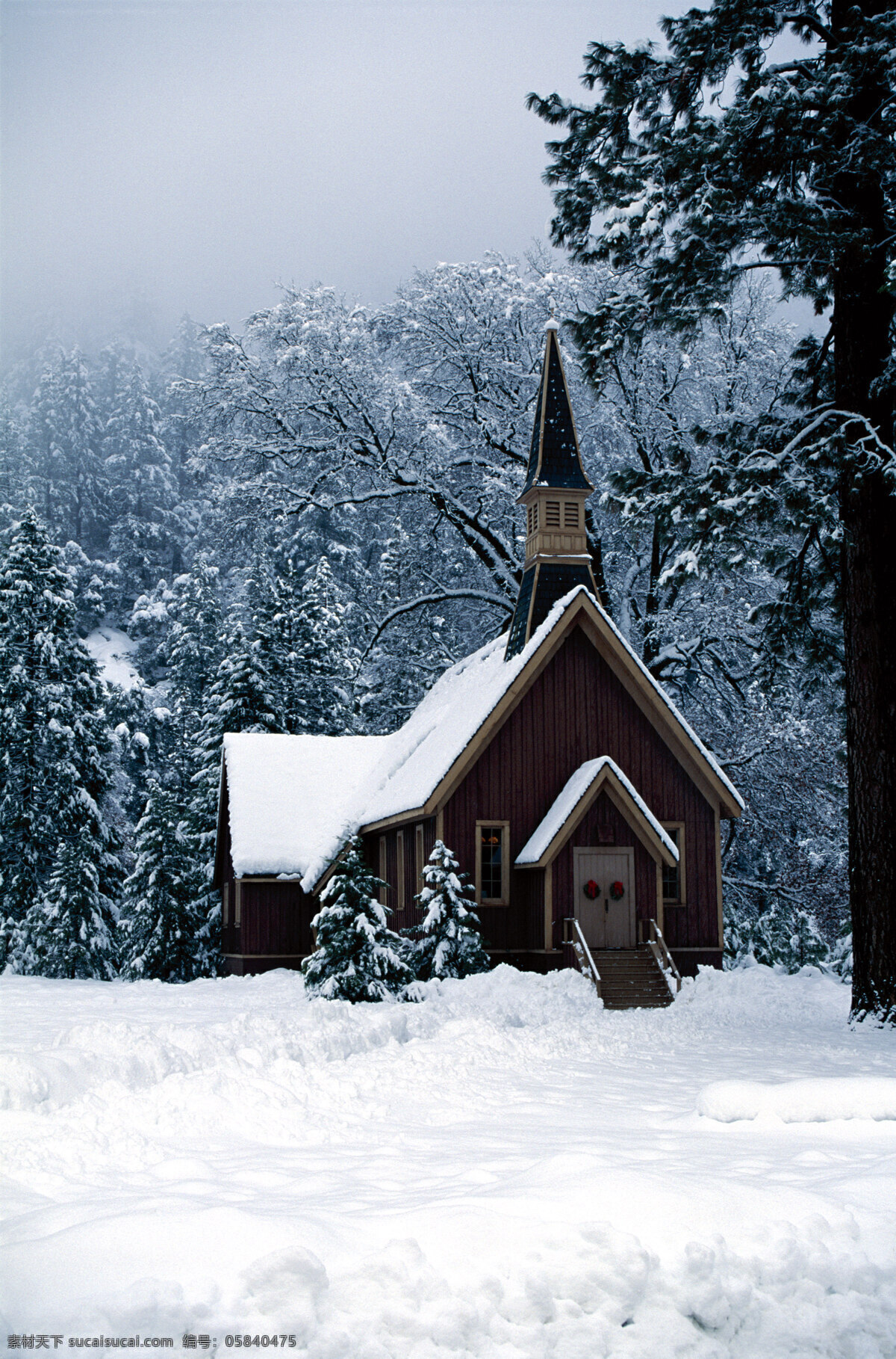 雪屋摄影 树林 冬天 山丘 山 森林 雪山 雪 小屋 雪屋 别墅 小洋房 欧洲建筑 自然风光摄影 山水风景 自然景观