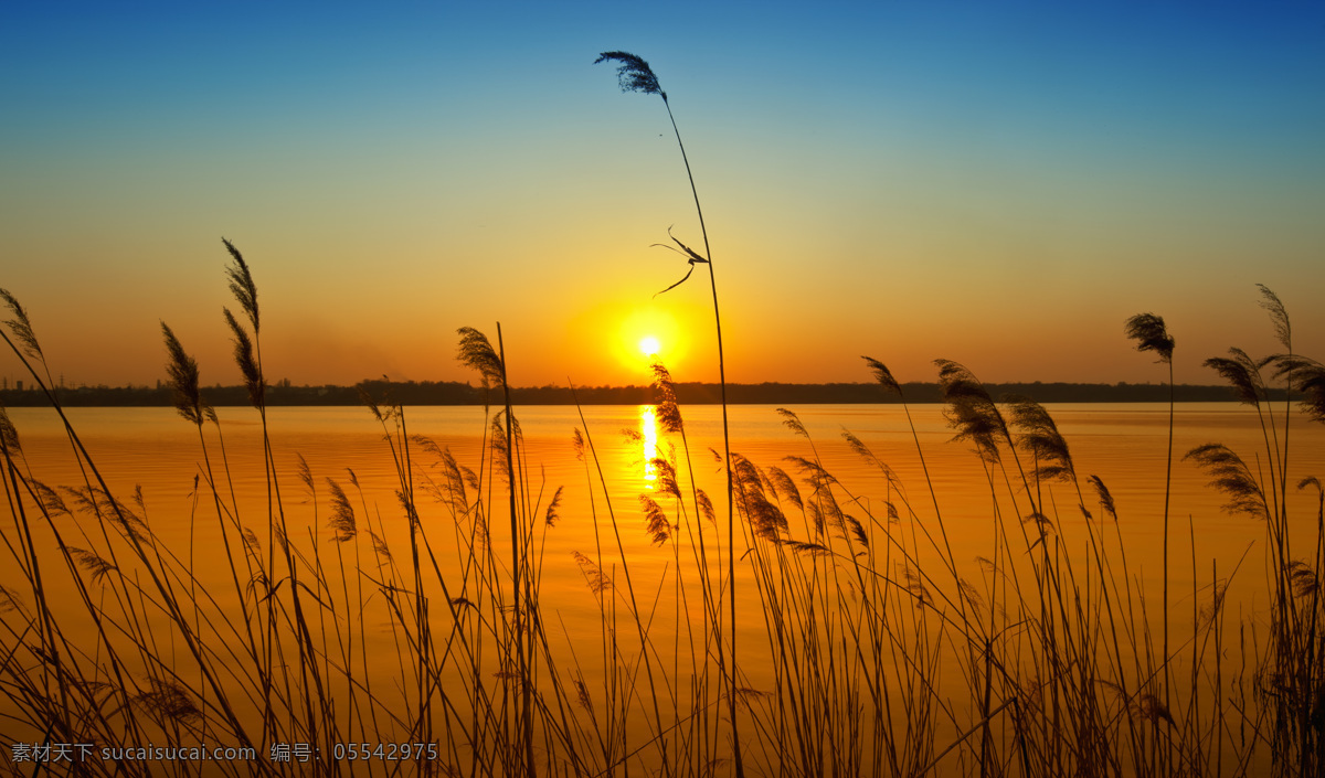 湖泊黄昏美景 湖泊风景 黄昏美景 夕阳风景 日落风景 美丽风景 美丽景色 自然美景 风景摄影 湖面风景 自然风景 自然景观 橙色