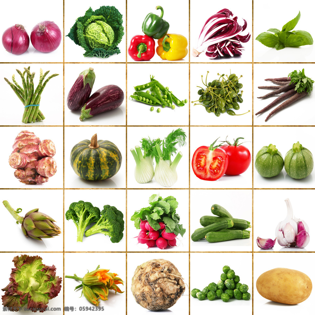 各种 蔬菜 表 洋葱 辣椒 白色 南瓜 蔬菜图片 餐饮美食