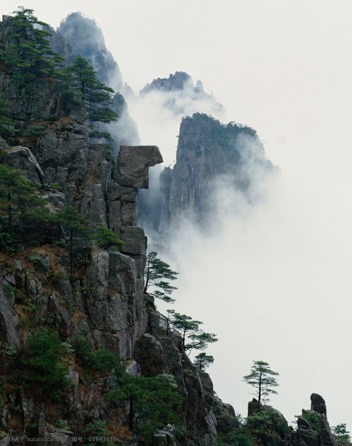 山峰树木 峭壁 乌云山峰 山上松树 陡峭 自然景观 山水风景