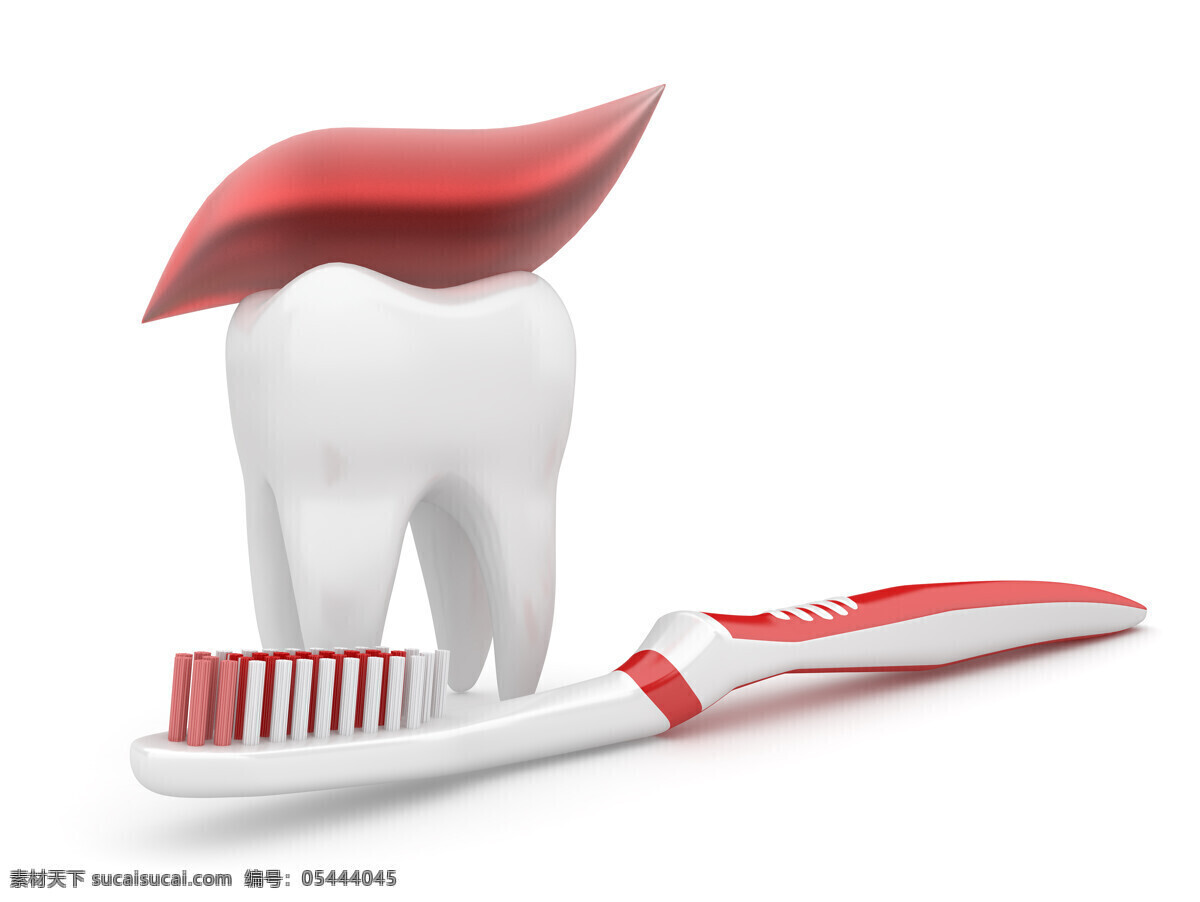 红色 牙刷 牙齿 模型 牙膏 牙齿模型 牙科 牙医 医疗卫生 人体器官 生活用品 生活百科