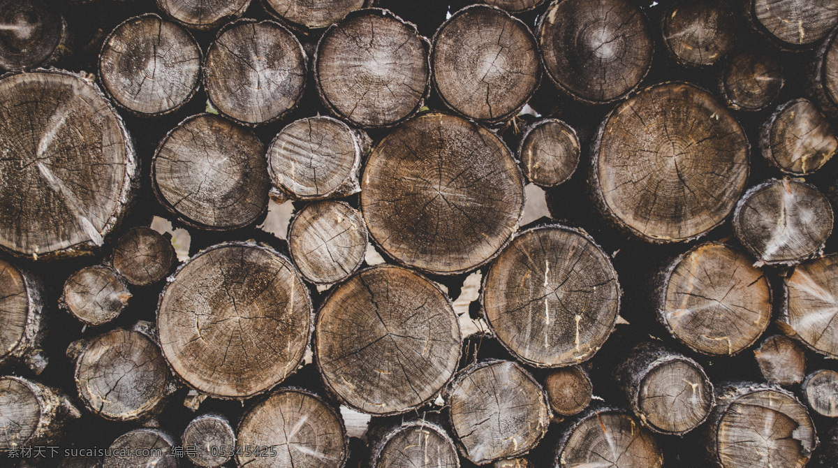 原木 横截面 年轮 木纹 背景 纹理 肌理 裂纹 裂痕 植物 木头 排列组合 高清 生物世界 树木树叶