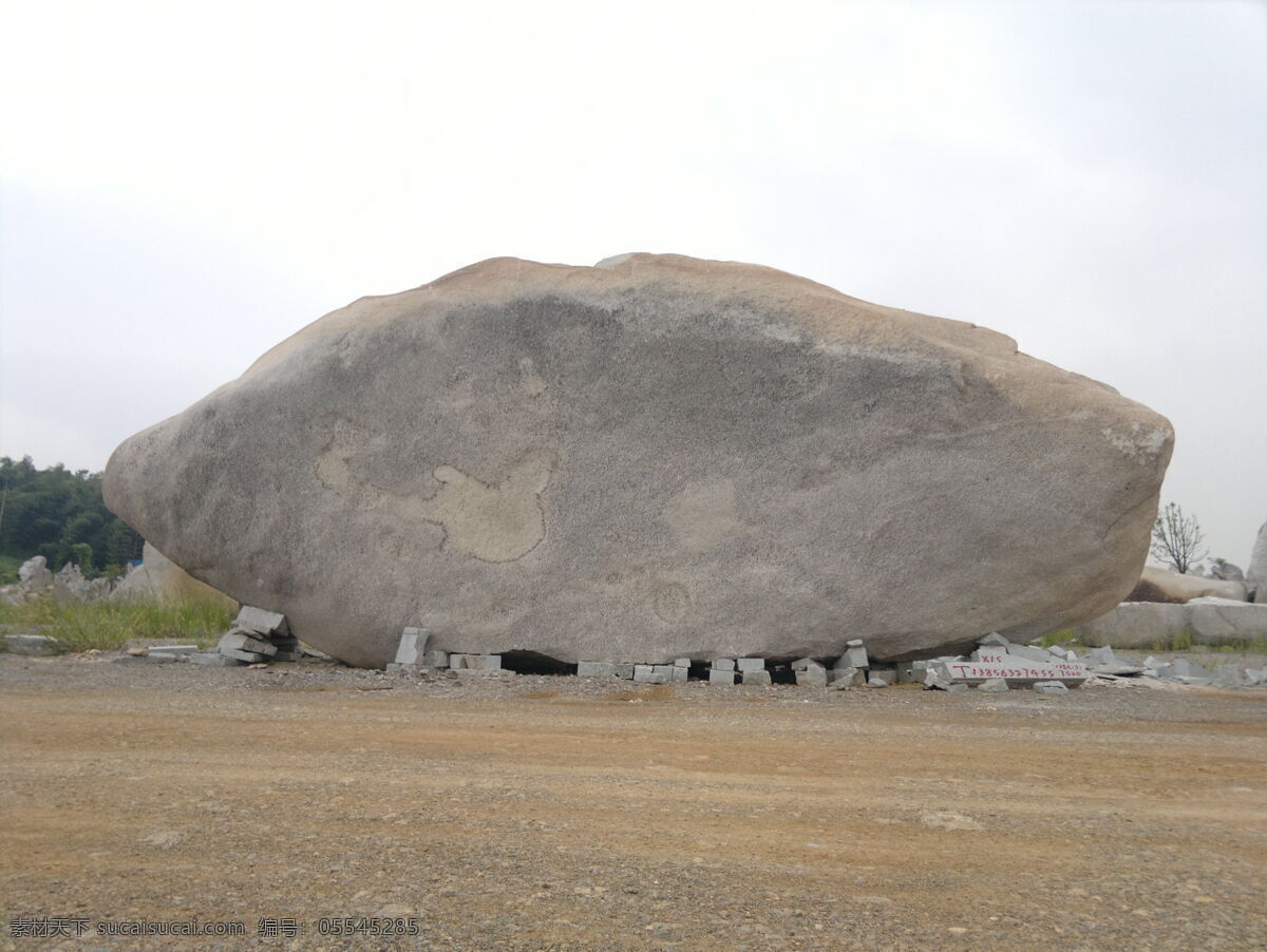 园林景观石 大型景观石 风景石 水冲石 鱼形 自然石景观石 建筑园林 园林建筑
