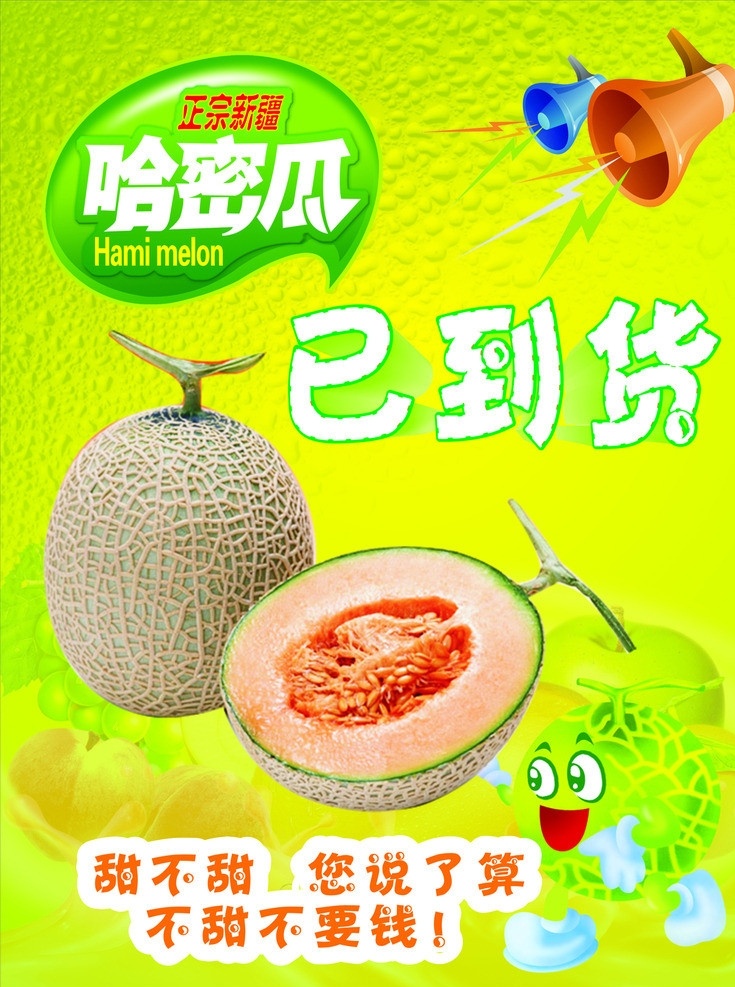哈蜜瓜 蜜瓜 正宗 新疆 水果 新鲜水果 健康水果 绿色食品 水果高清图 瓜类 水果特写 瓜果 生物世界 喇叭 水果背景 餐饮美食 生活百科 矢量
