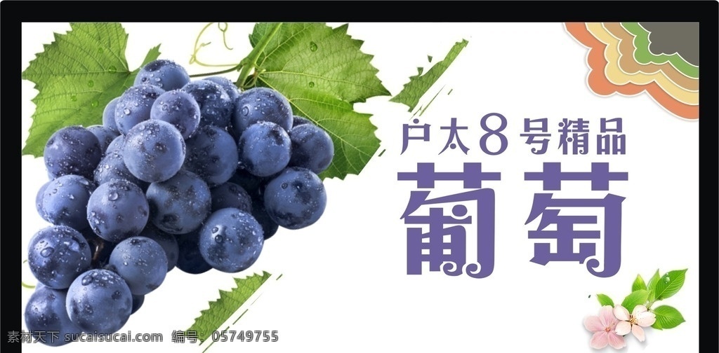 葡萄 户太葡萄 水果 生鲜水果 葡萄宣传