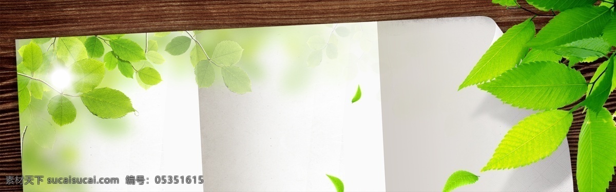 绿色 淡雅 清新 背景 绿叶 木板 创意 时尚 小 阳光 白色