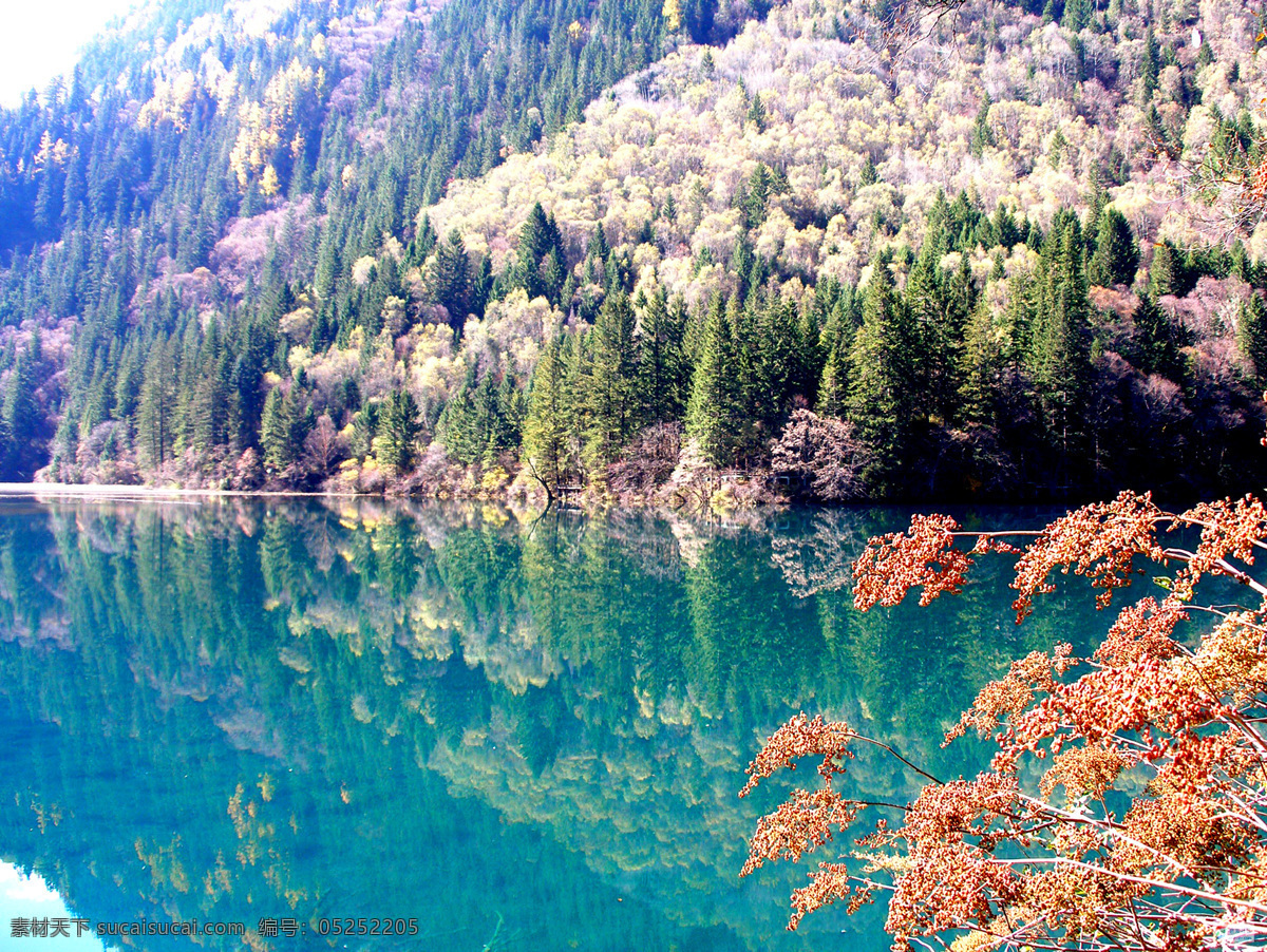 九寨沟风光 四川 九寨沟 湖泊 湖水 倒影 青山绿水 高山 大树 树丛 树林 山林 森林 森林公园 生态旅游 山水风景 自然景观