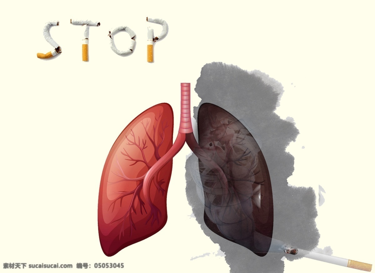 吸烟 危害 健康 烟 心脏