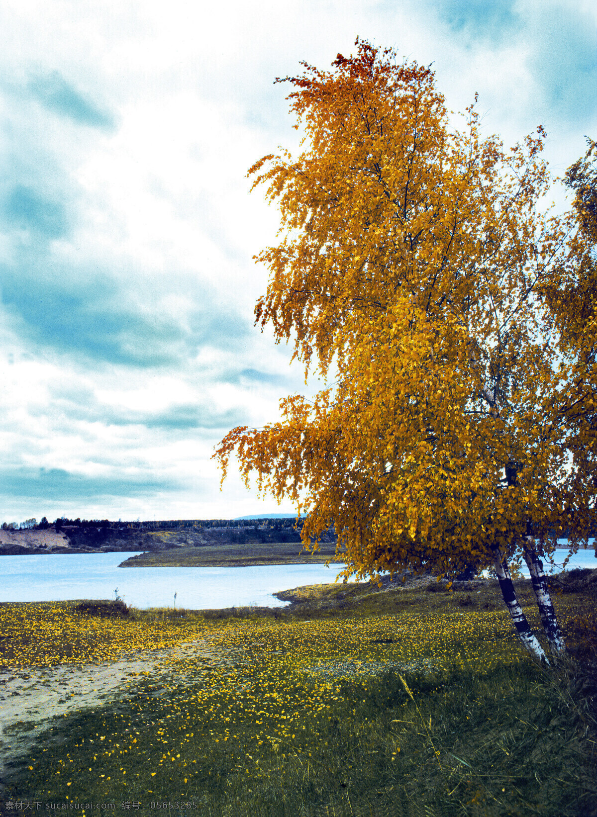 湖泊 树木 西伯利亚风景 湖面 美丽风景 美景 景色 风景摄影 花草树木 生物世界