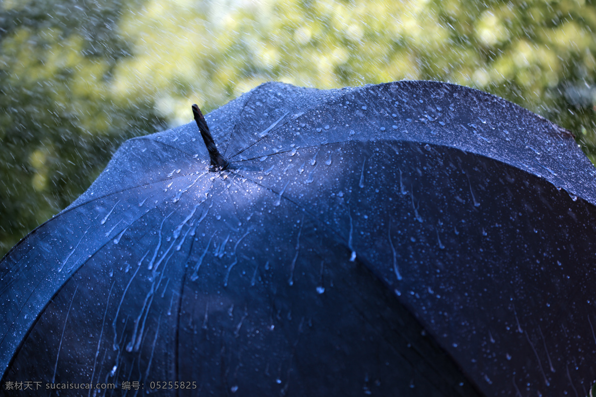 雨 中 蓝色 大 伞 蓝色伞 打伞 撑伞 雨中 大雨 淋雨 下雨 雨天 天气 山水风景 风景图片