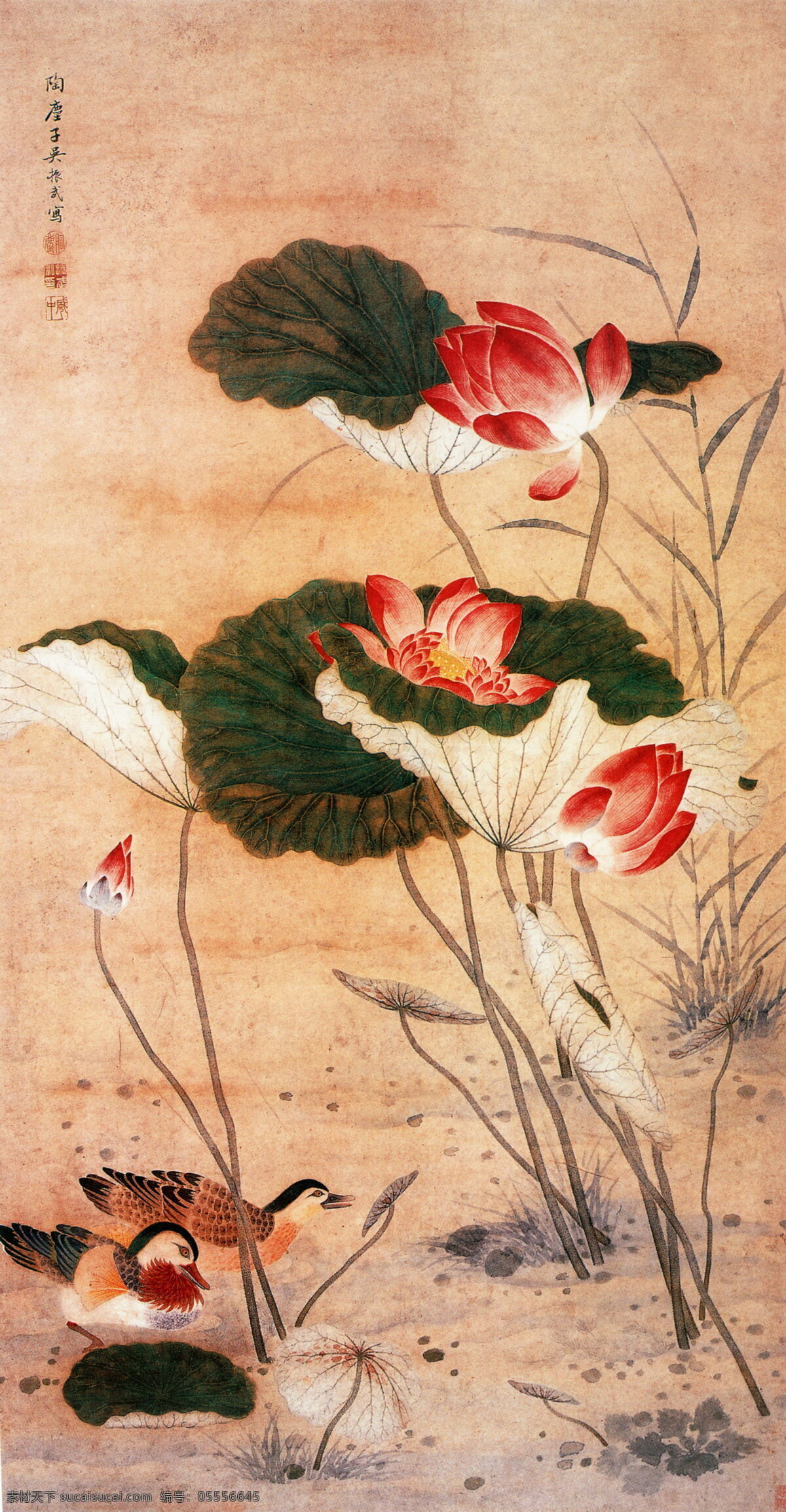 莲花 鸳鸯 水墨画 名画 水墨花卉植物 国画 中国画 绘画艺术 装饰画 挂画 书画文字 文化艺术