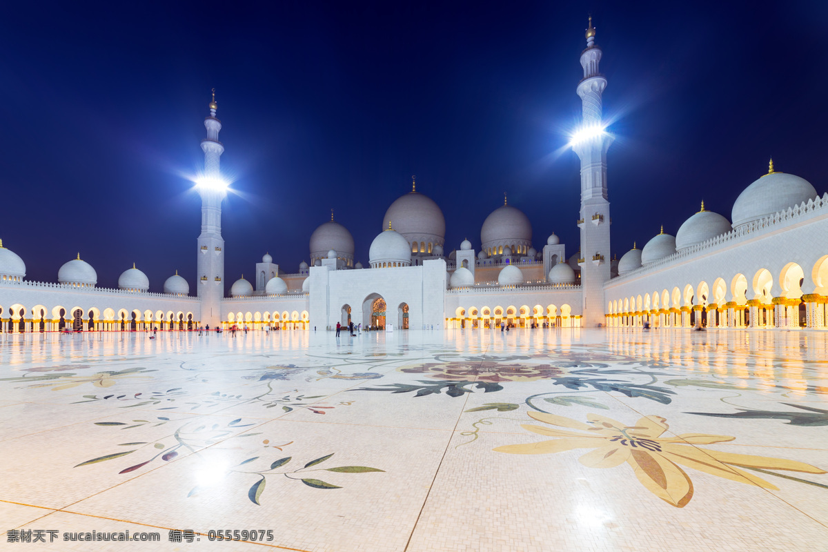 扎耶德 大 清真寺 夜景 阿布扎比 阿拉伯风光 美丽风景 风景摄影 风景名胜 名胜古迹 风景图片