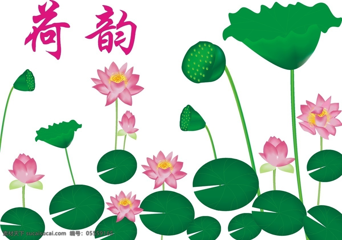 荷韵 展架展板 宣传栏 海报 中国风 荷花文化墙