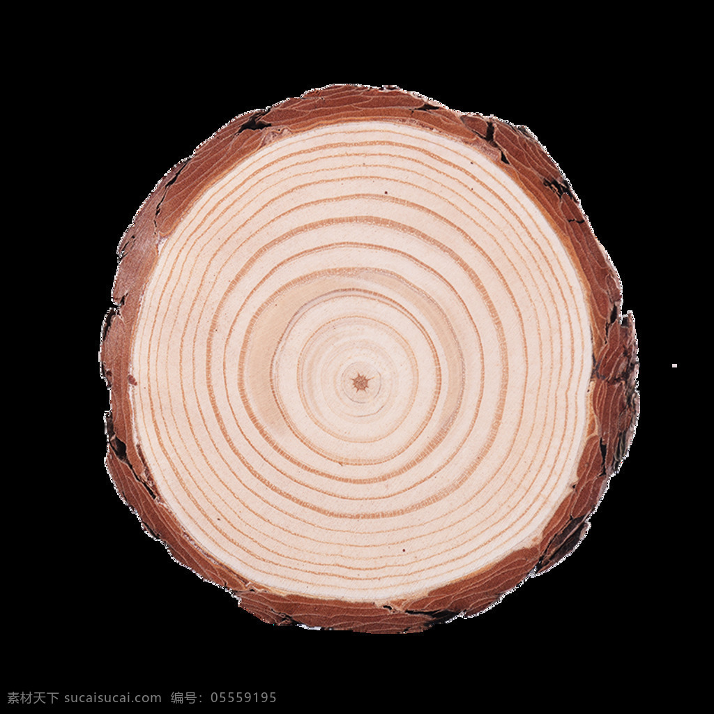 树饼 木桩 圆木片 木头片 木片
