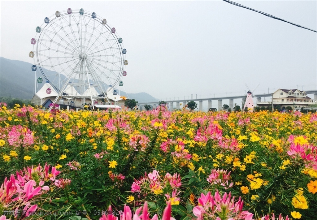 花海 摩天轮 五颜六色 花 春天