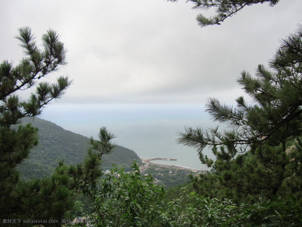 崂山 上 山海 景观 国内旅游 海边 旅游摄影 树 眺望 夏季 瑶池 山海景观 风景 生活 旅游餐饮