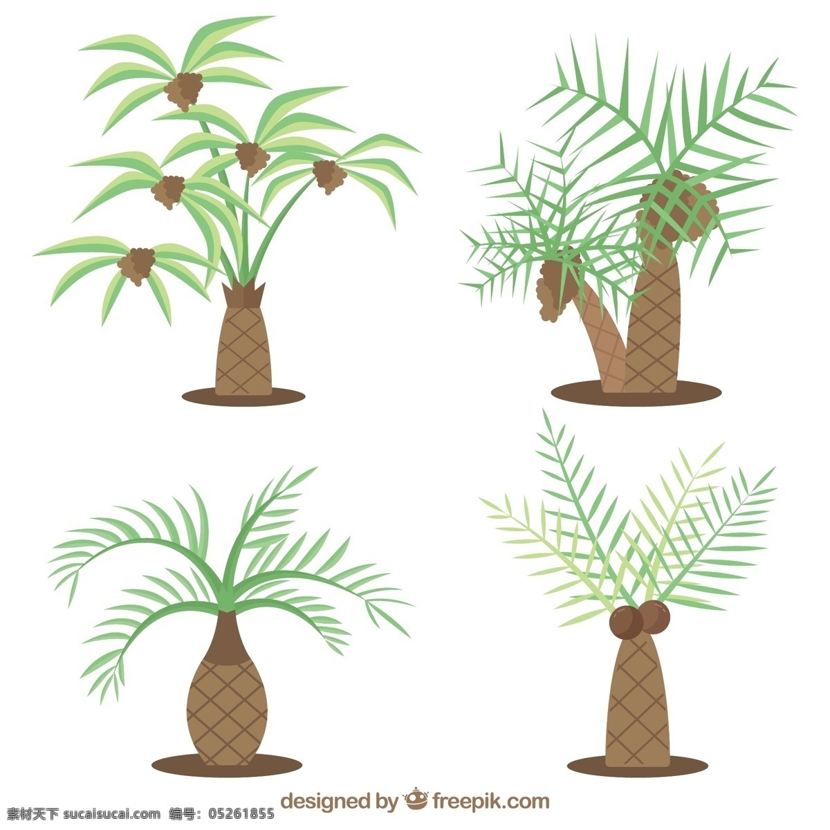 各种 类型 棕榈树 插图 热带 卡通 植物 矢量素材