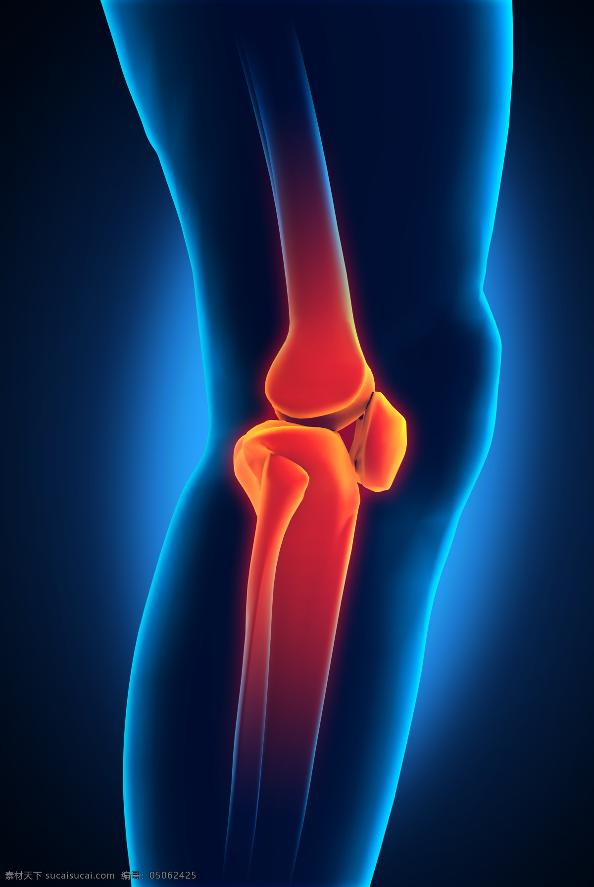 关节疼痛高清 人体 膝盖 疼痛 医疗 高清图片