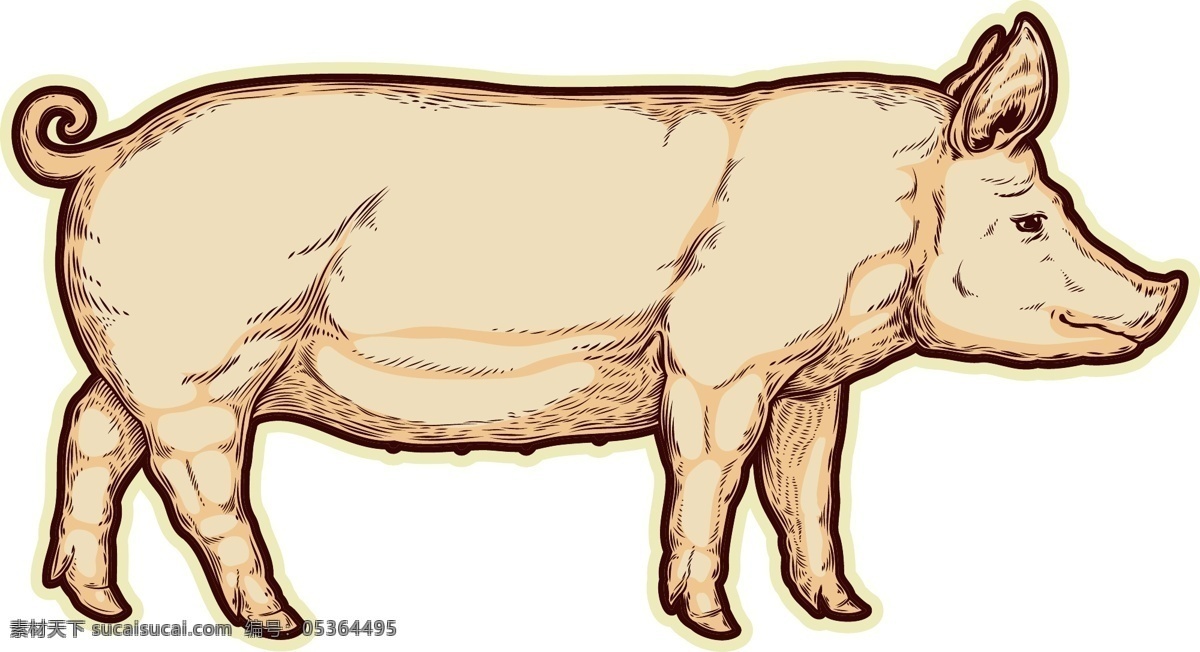 手绘猪元素 手绘 卡通 猪 动物 ai元素 免扣元素