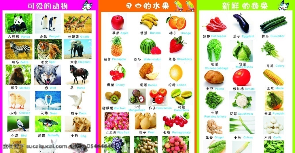 儿童挂图 可爱动物挂图 可口的水果 新鲜的蔬菜 文化艺术 矢量