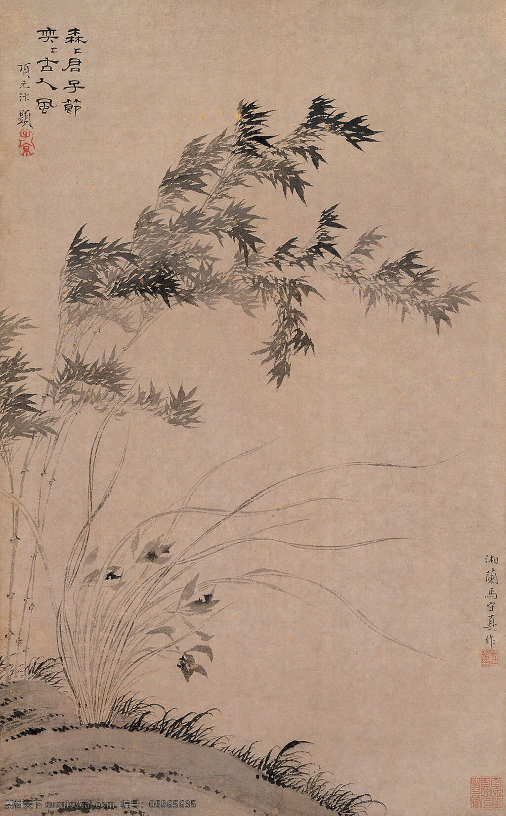 古画 国画 绘画书法 明 山水画 诗画 书画 素竹幽兰 马守真 古代绘画 中国古画 中国文化 国宝 中国古代绘画 文化艺术 矢量图 日常生活