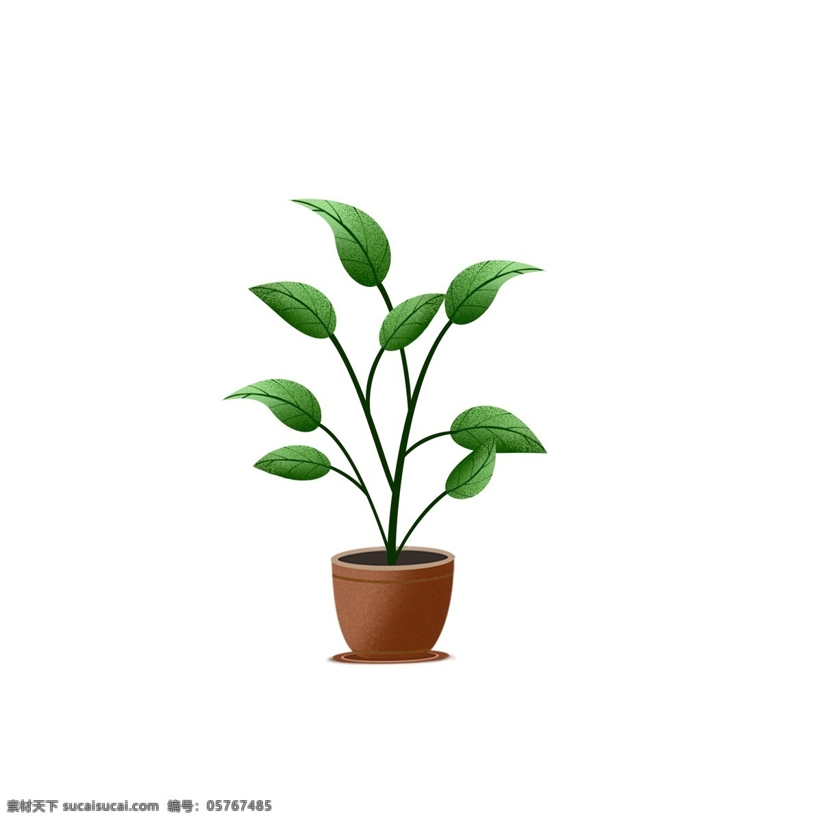 绿色 盆栽 卡通 小清 新设 计 手绘 插画 小清新 植物 树木 花盆