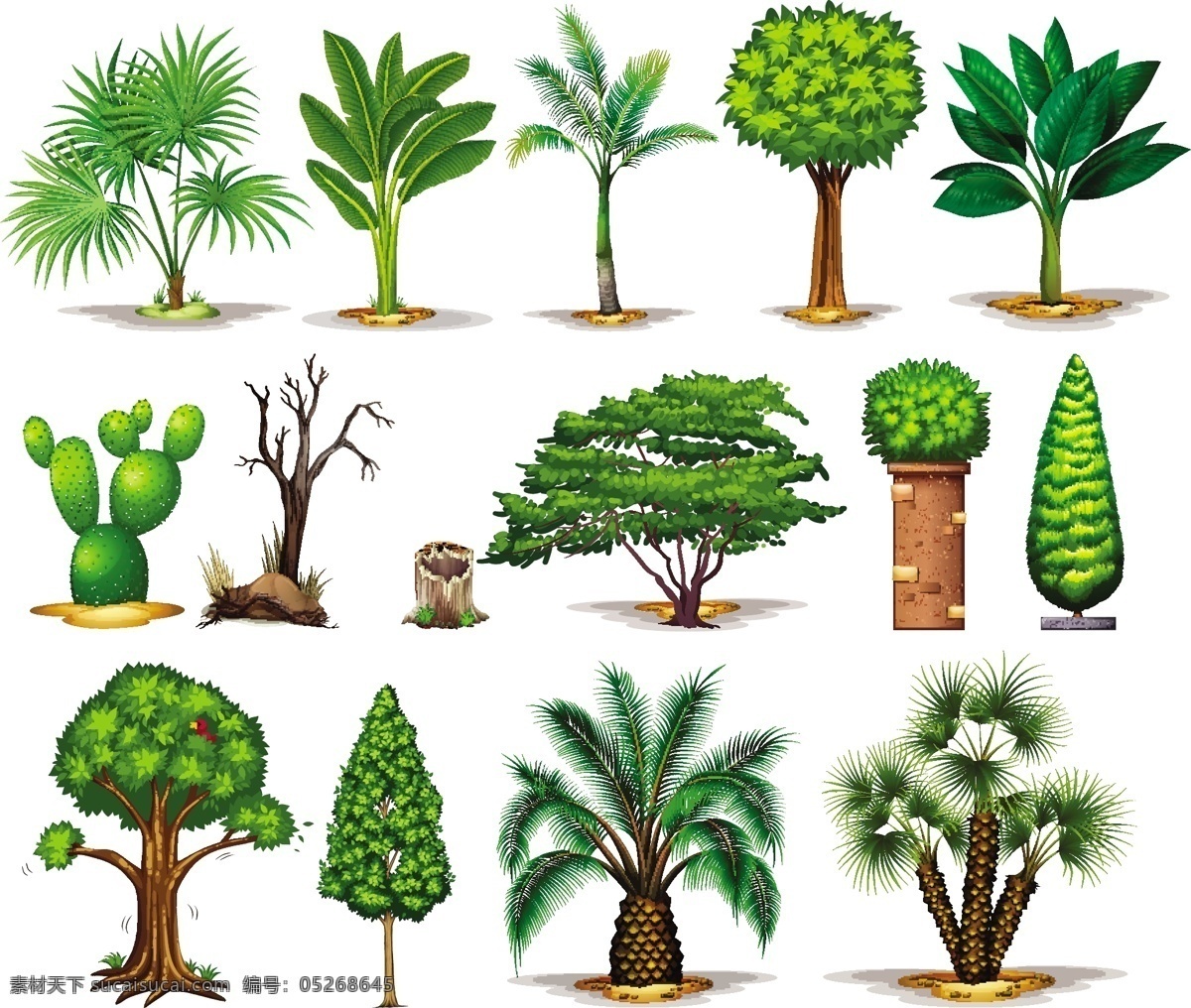不同类型的树木插图素材图片下载-素材编号05268645-素材天下图库