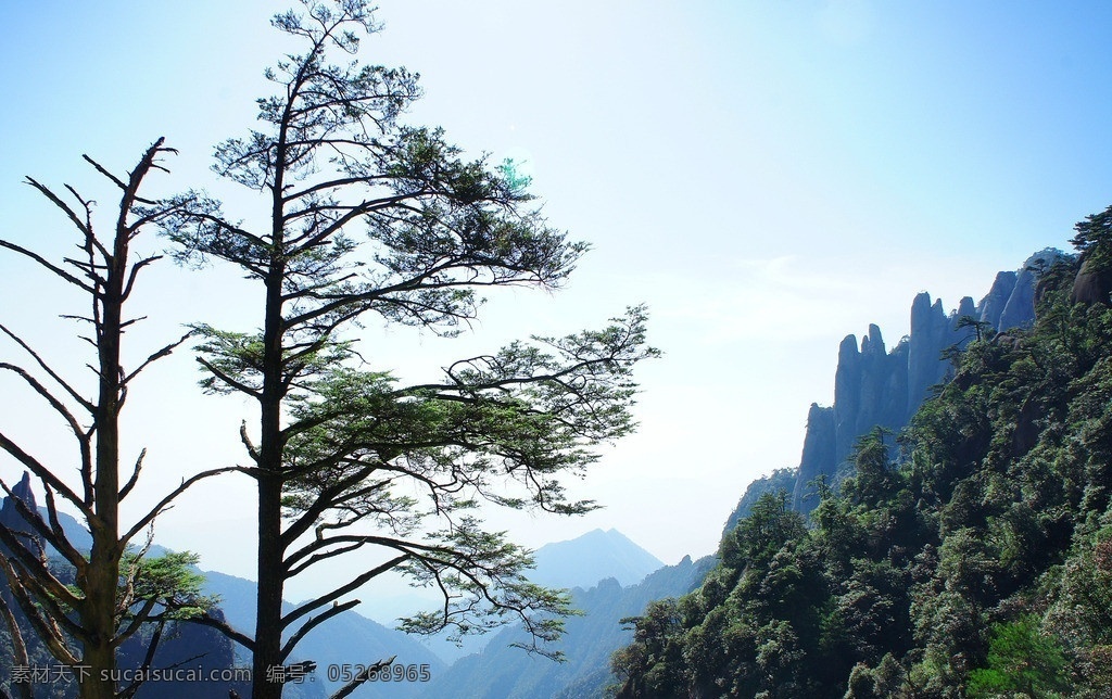 三清山迎客松 三清山 迎客松 迎客松图 古松树 风景画 风景 风景摄影 山水风景 山水摄影 装饰画模板 风景素材 山水素材 古树 旅游胜地 风景山水摄影 自然景观 江西 上饶 国内旅游 旅游摄影