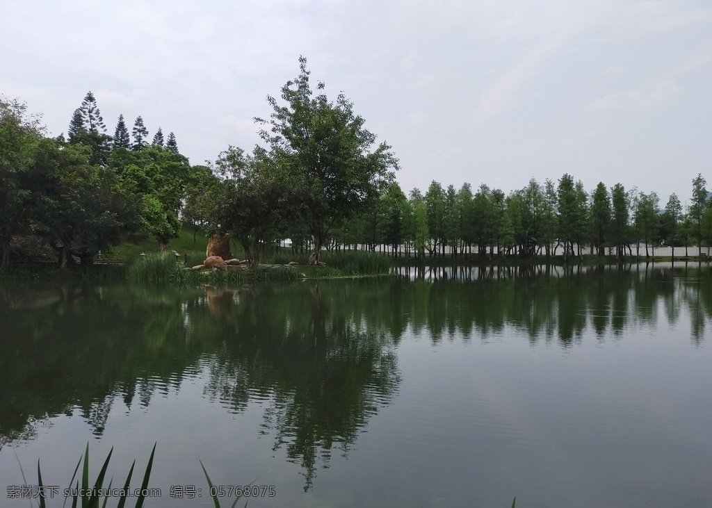 水面树林图片 树 小树林 水面 湖面 公园 公园一角 园林景观 风景 景观 小湖 水 自然景观 自然风景