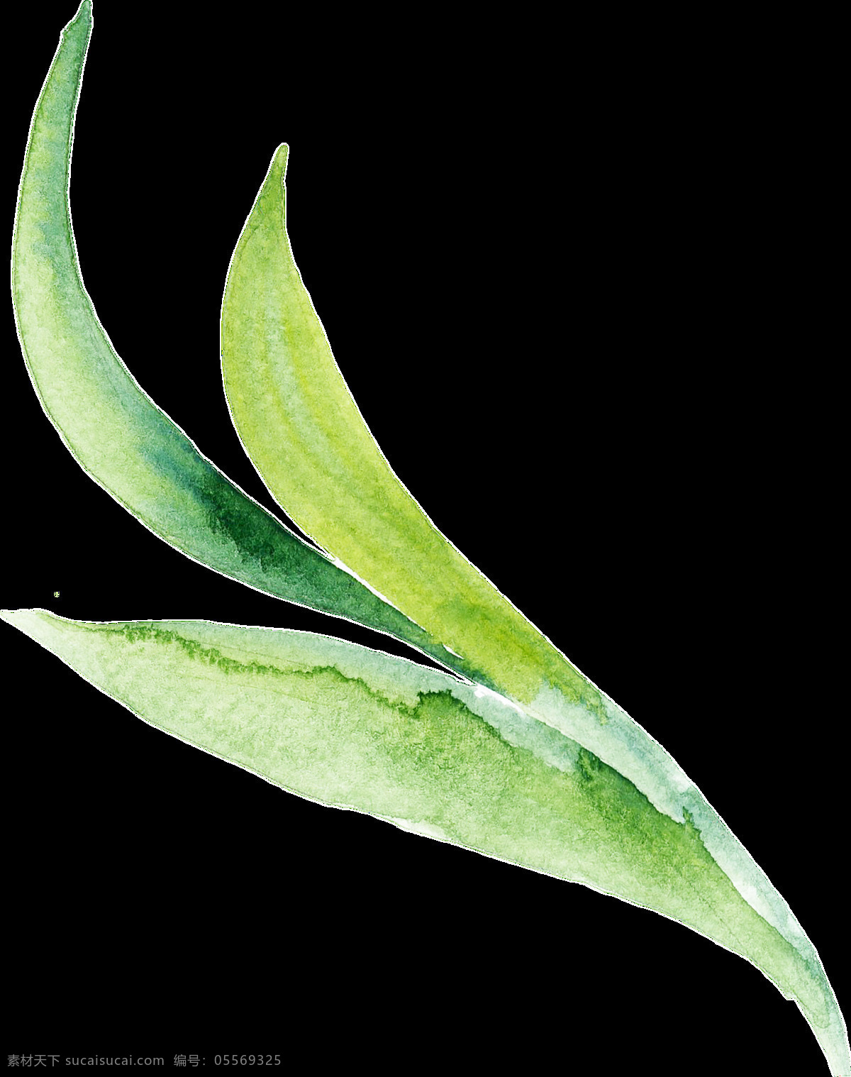 三 支 芦荟 卡通 透明 植物 绿色 透明素材 免扣素材 装饰图案