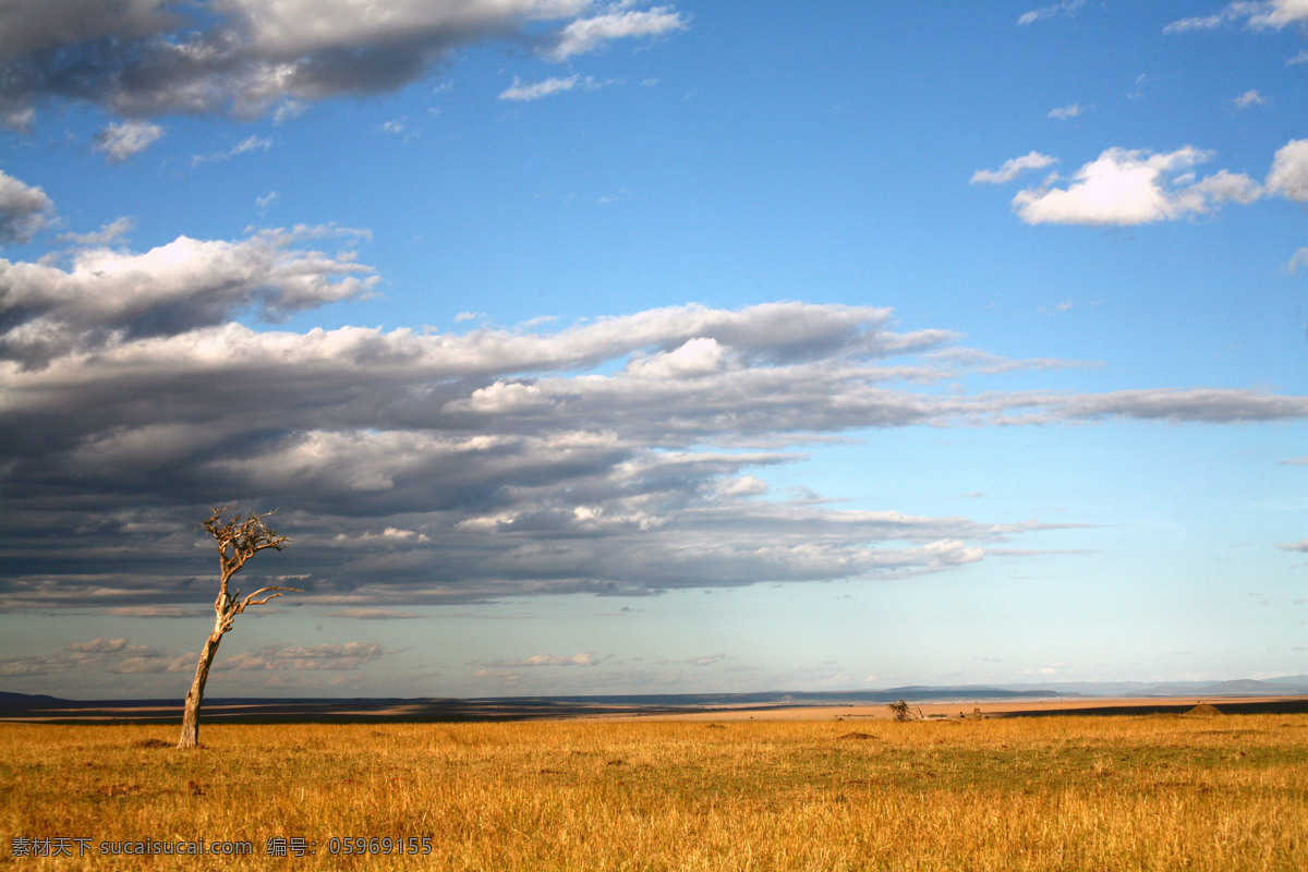 非洲 草原 风景摄影 非洲草原风景 平面风景 美丽非洲风景 美景 景色 自然风景 自然景观 蓝色