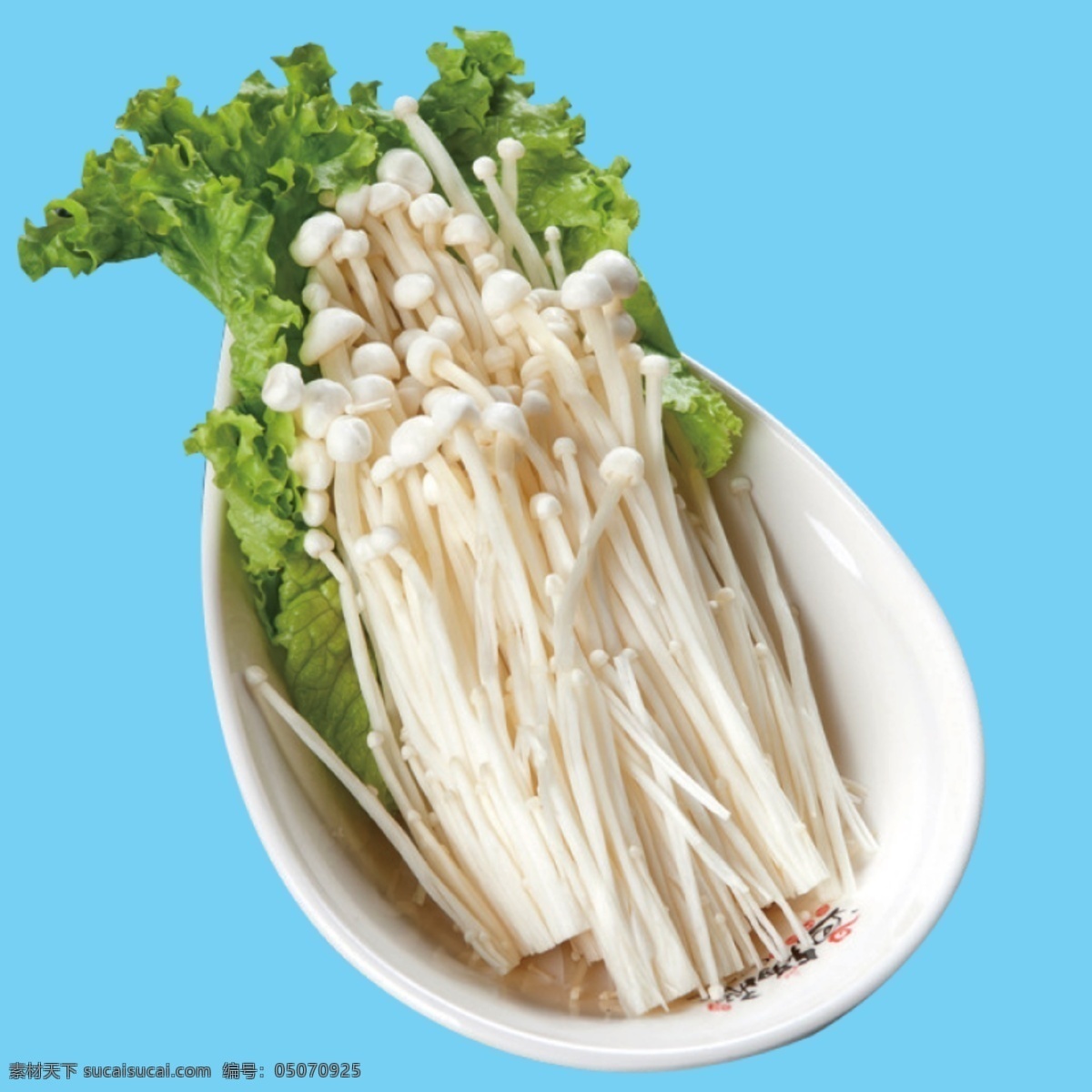 食物 金针菇 菜 火锅