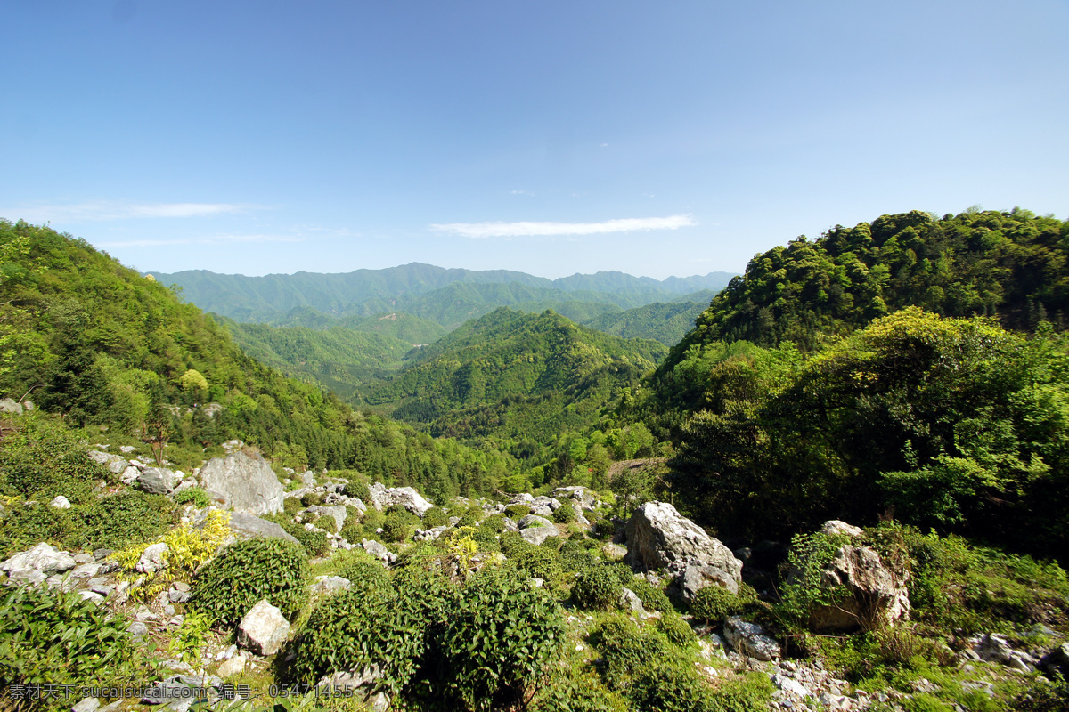 野生茶园 秋色 甘爵风光 山寨 仙寓山 森林 茶园 奇石 竹林 瀑布 山泉 生活百科